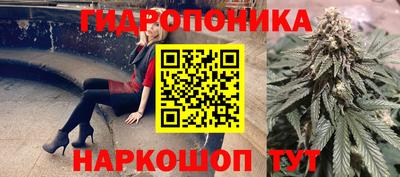 Альфа ПВП Заволжье