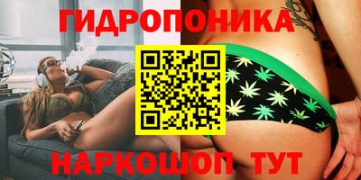 молекула духа Заводоуковск