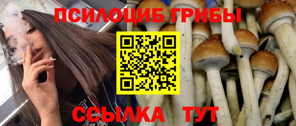 Псилоцибиновые грибы Magic Shrooms  Вход с VPN  Миллерово 