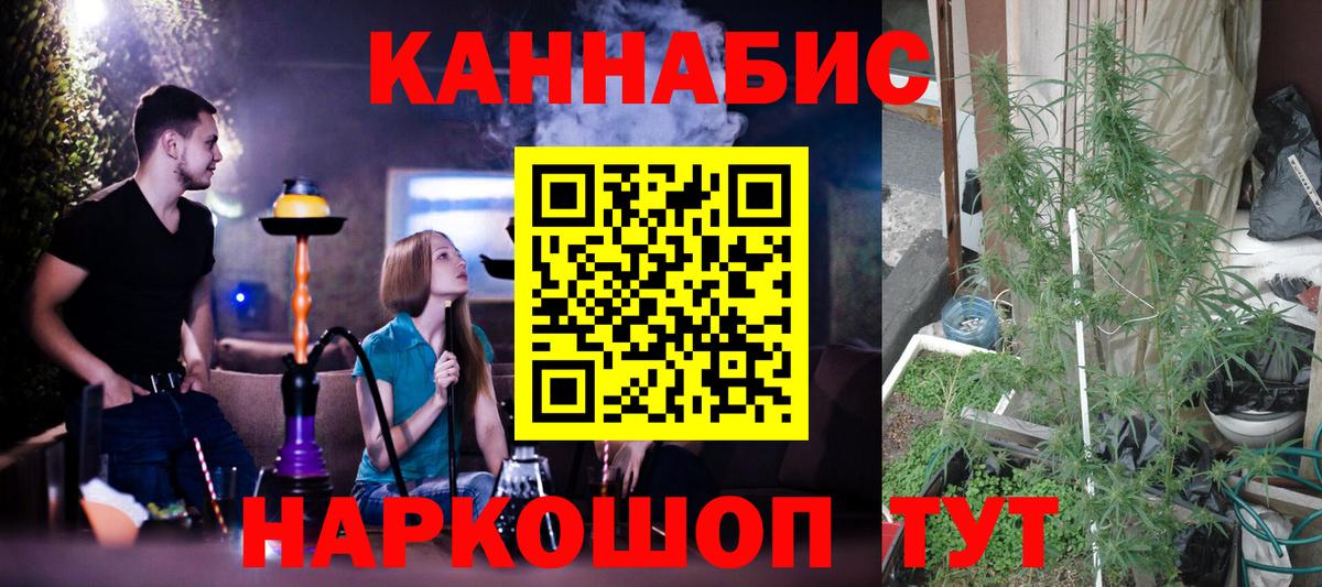 Марихуана планчик Миллерово